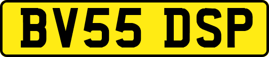 BV55DSP