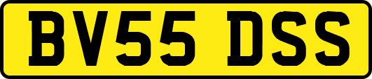 BV55DSS