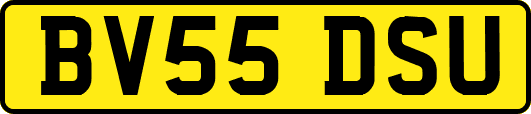 BV55DSU