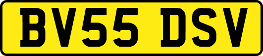 BV55DSV