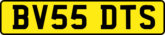 BV55DTS