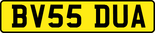 BV55DUA