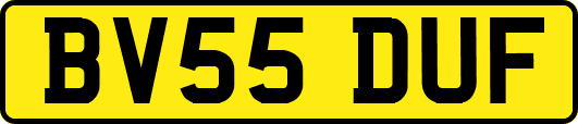 BV55DUF
