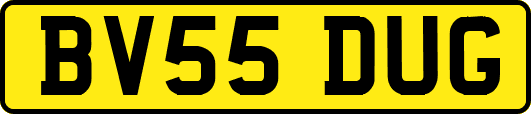 BV55DUG