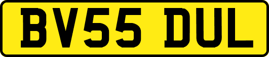 BV55DUL