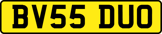 BV55DUO