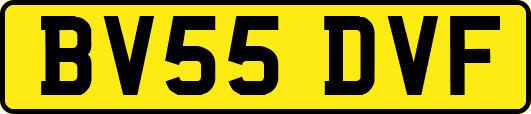 BV55DVF