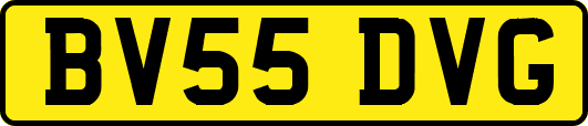 BV55DVG