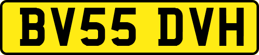 BV55DVH