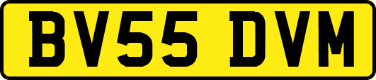 BV55DVM