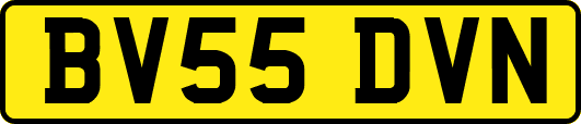 BV55DVN