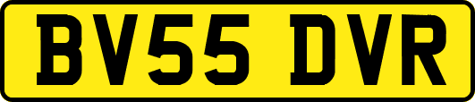 BV55DVR