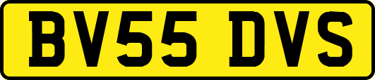 BV55DVS