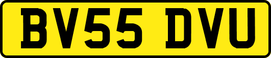 BV55DVU