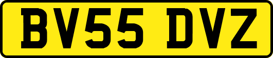 BV55DVZ