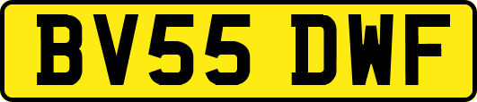 BV55DWF