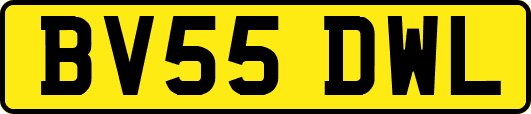 BV55DWL