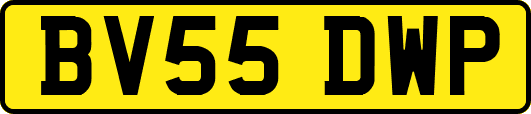 BV55DWP