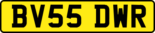 BV55DWR