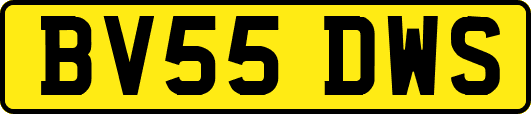 BV55DWS