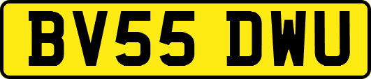 BV55DWU