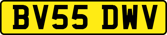 BV55DWV