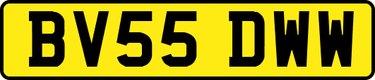 BV55DWW