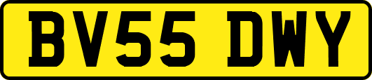 BV55DWY