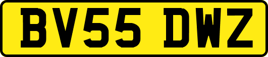 BV55DWZ