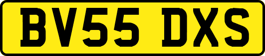 BV55DXS