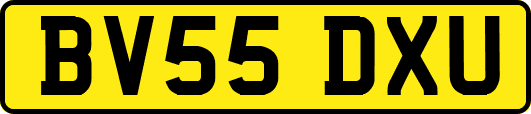 BV55DXU