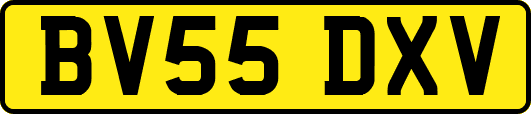 BV55DXV