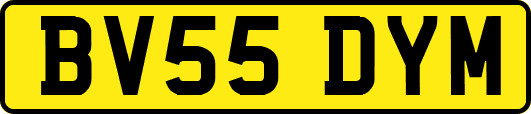 BV55DYM