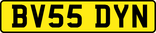 BV55DYN