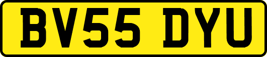 BV55DYU