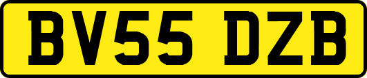 BV55DZB