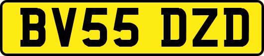 BV55DZD