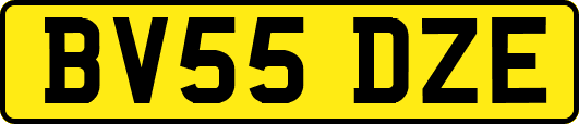 BV55DZE