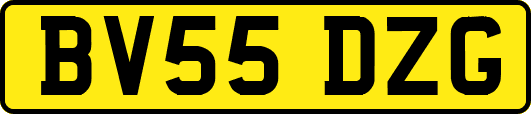 BV55DZG