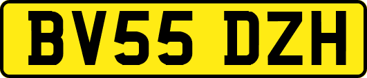 BV55DZH