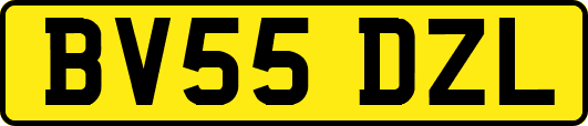 BV55DZL