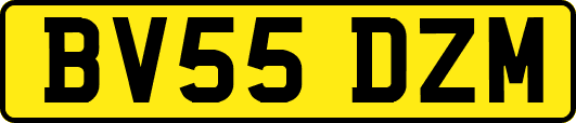 BV55DZM
