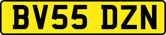BV55DZN