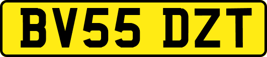 BV55DZT