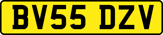 BV55DZV
