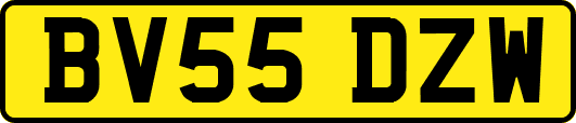 BV55DZW
