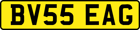 BV55EAG