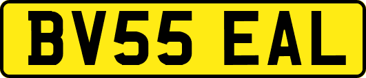 BV55EAL
