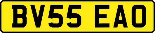 BV55EAO