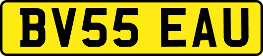 BV55EAU